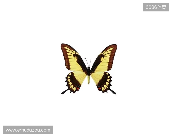 破茧成蝶:Legacy如何登顶南美、跻身世界顶尖行列 破茧成蝶:Legacy如何登顶南美、跻身世界顶尖行列